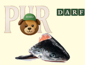 Afbeeldingen van Barf Zalm Koppen 2 stuks